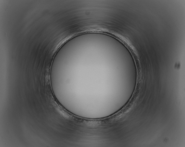 X0000091700889200708240931