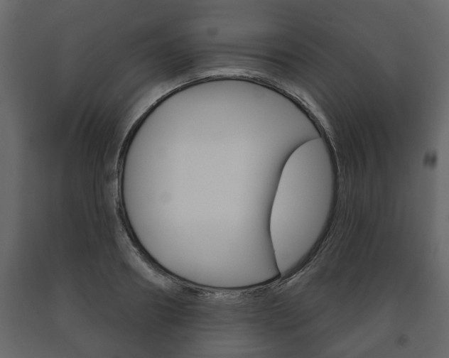 X0000091700890200708240931