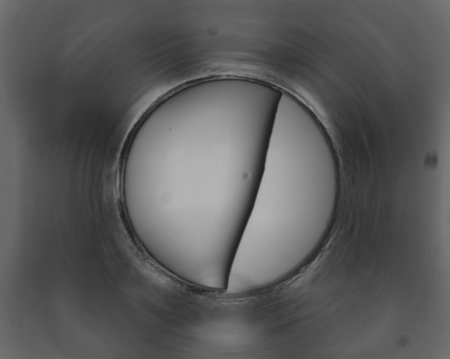 X0000091700891200708240931