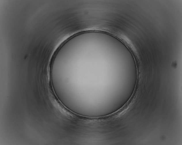 X0000091700892200708240931