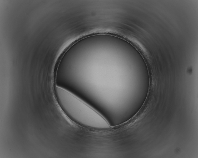 X0000091700894200708240931