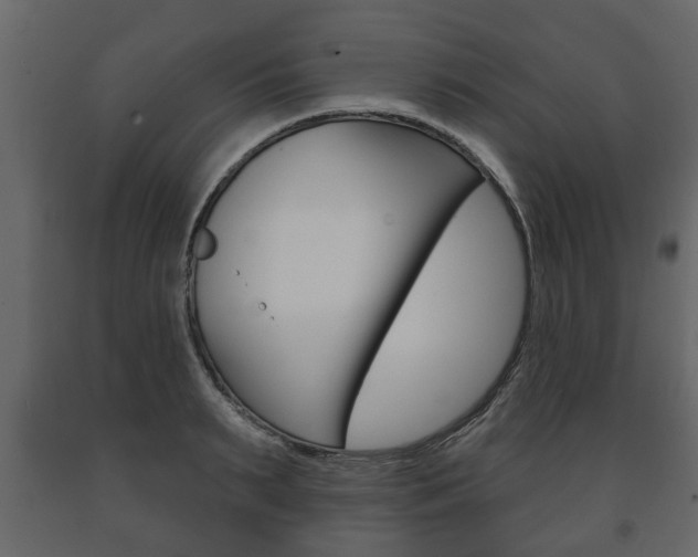 X0000091700895200708240931