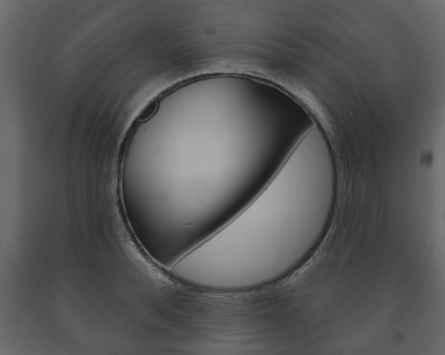X0000091700896200708240931