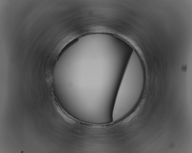 X0000091700897200708240931