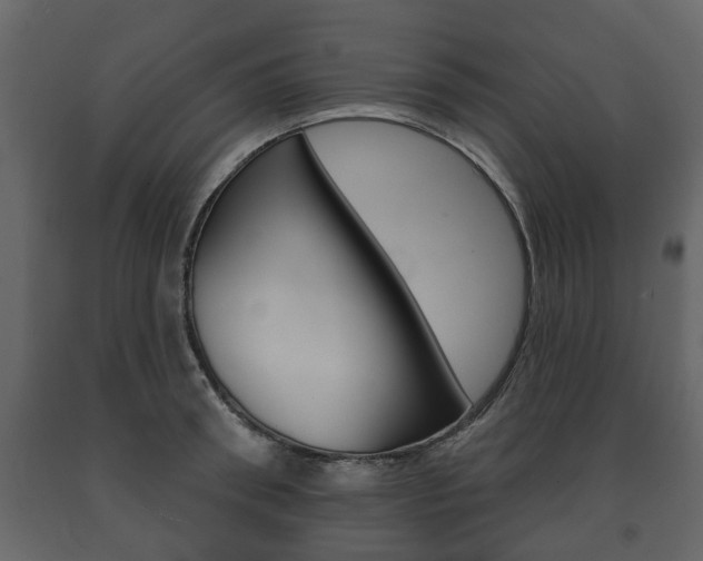 X0000091700898200708240931