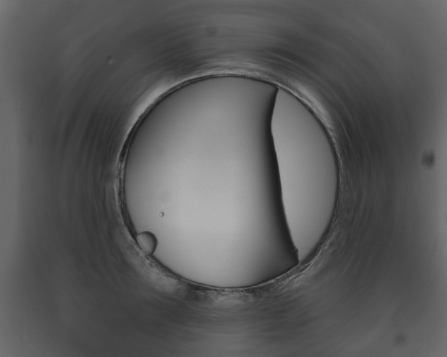 X0000091700899200708240931