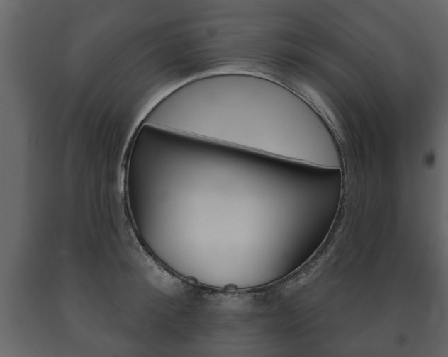 X0000091700900200708240931