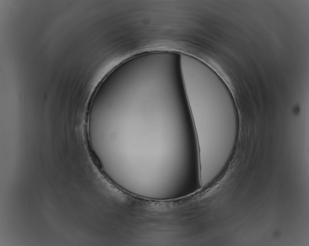 X0000091700901200708240931
