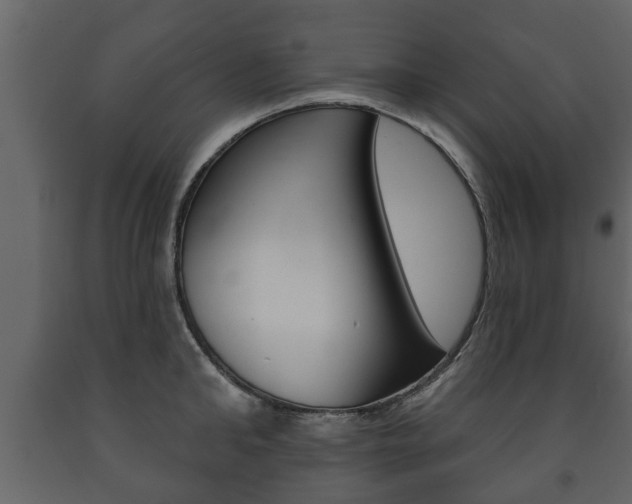 X0000091700902200708240931