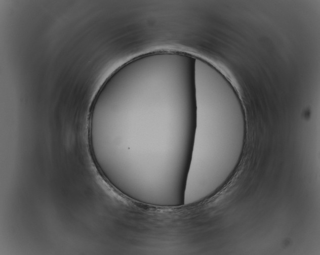 X0000091700903200708240931