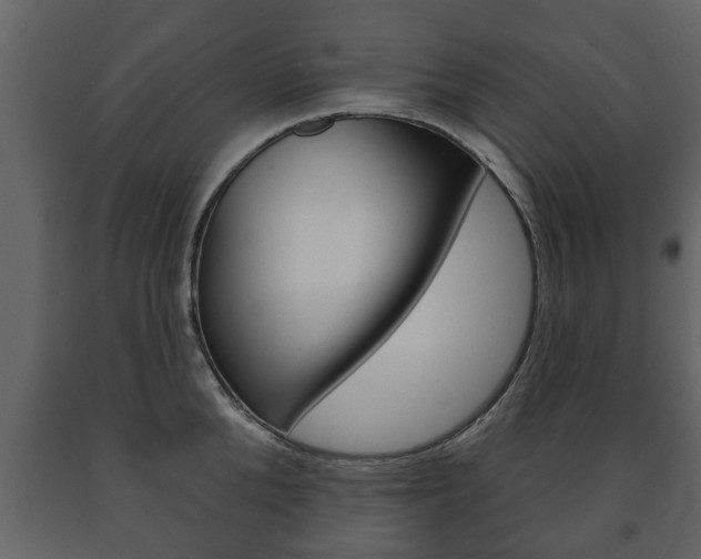 X0000091700904200708240931
