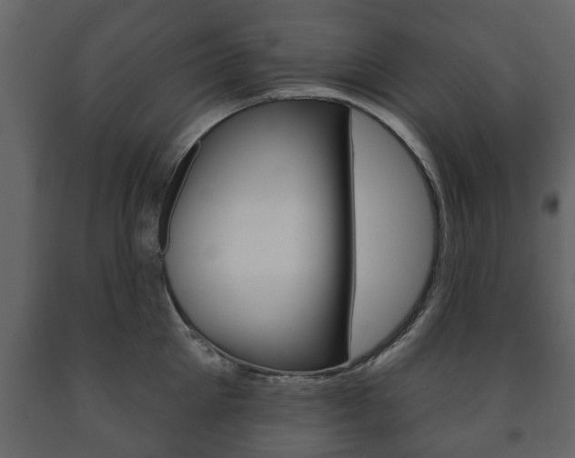 X0000091700905200708240931