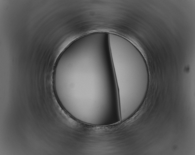 X0000091700906200708240931