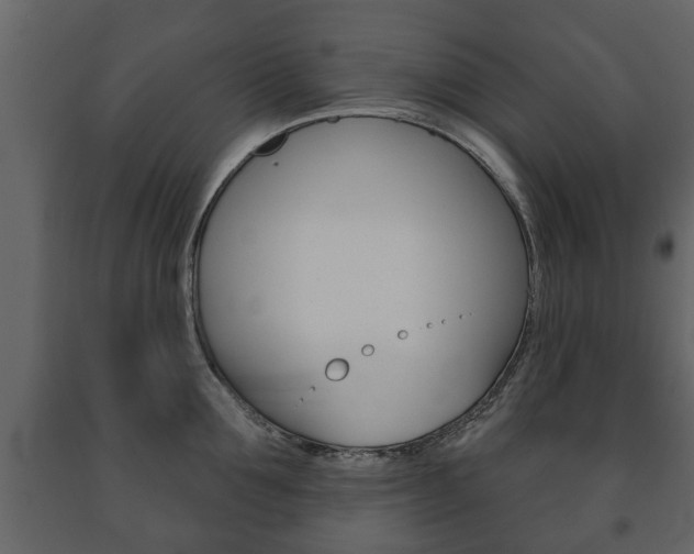 X0000091700907200708240931
