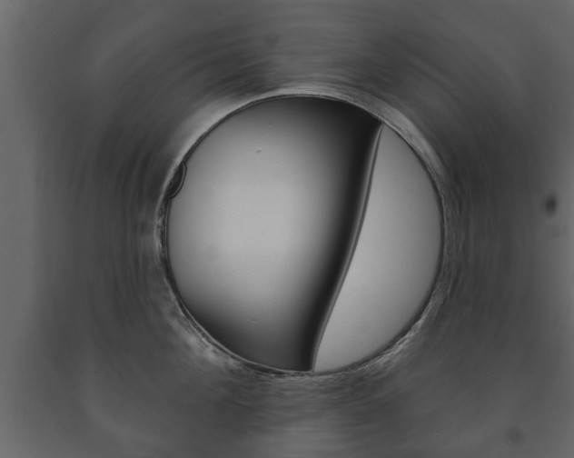 X0000091700908200708240931