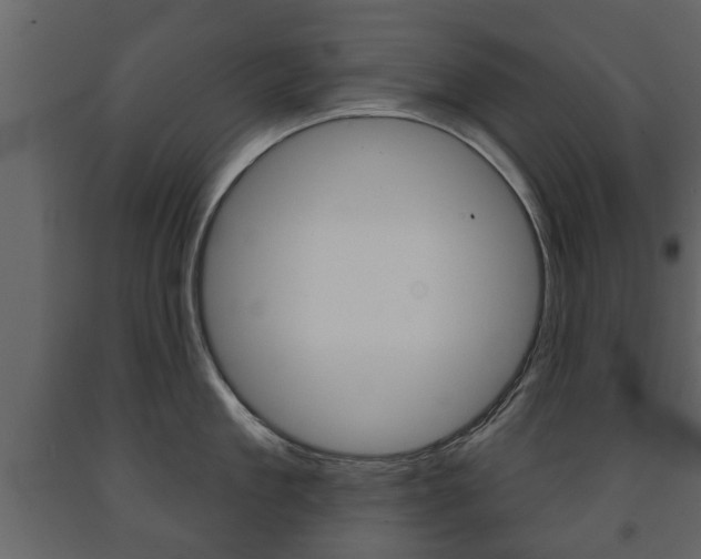 X0000091700909200708240931