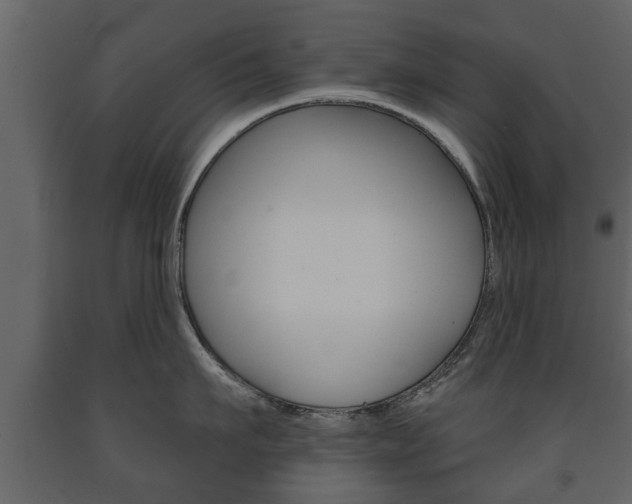X0000091700911200708240930