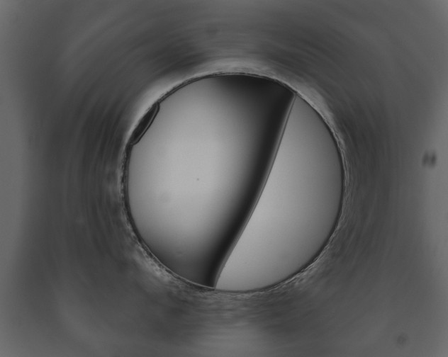 X0000091700912200708240930