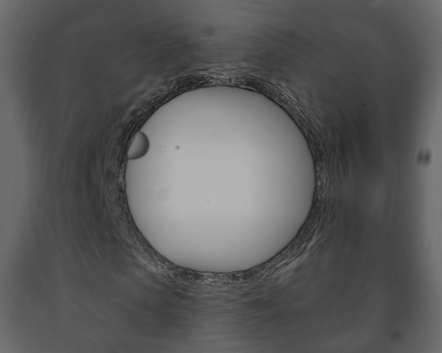 X0000091700913200708240930