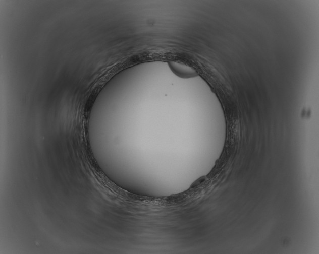 X0000091700914200708240930