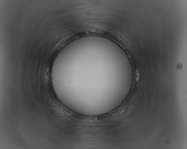 X0000091700915200708240930