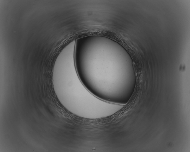 X0000091700916200708240930