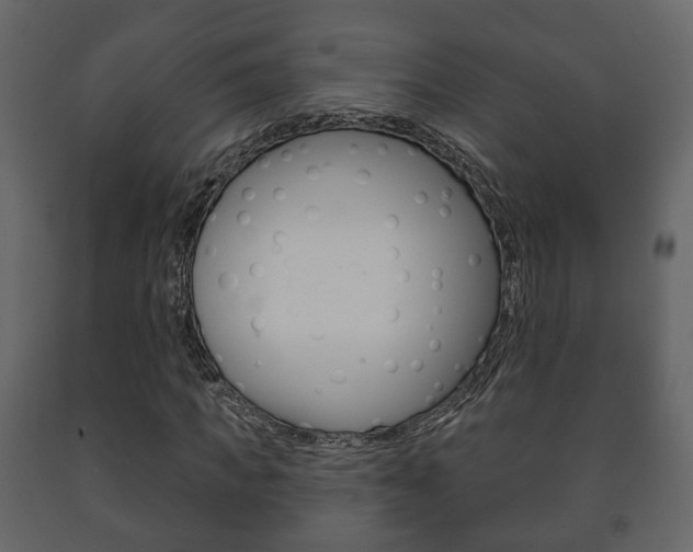 X0000091700917200708240930