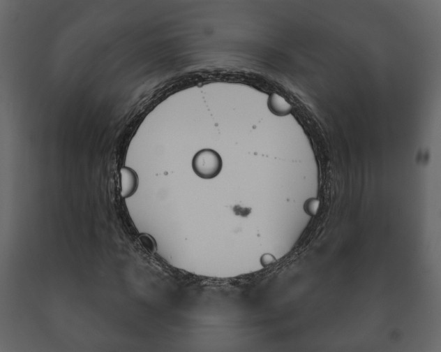X0000091700918200708240930