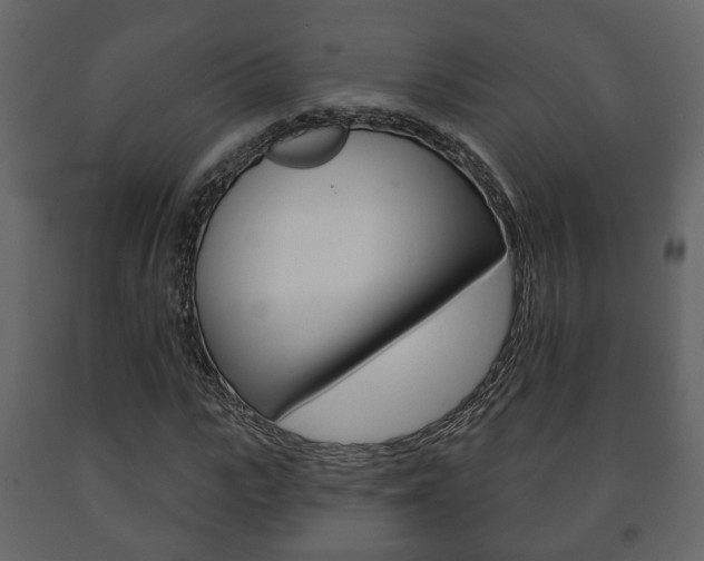 X0000091700919200708240930