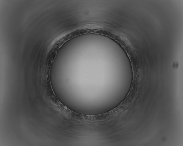X0000091700920200708240930