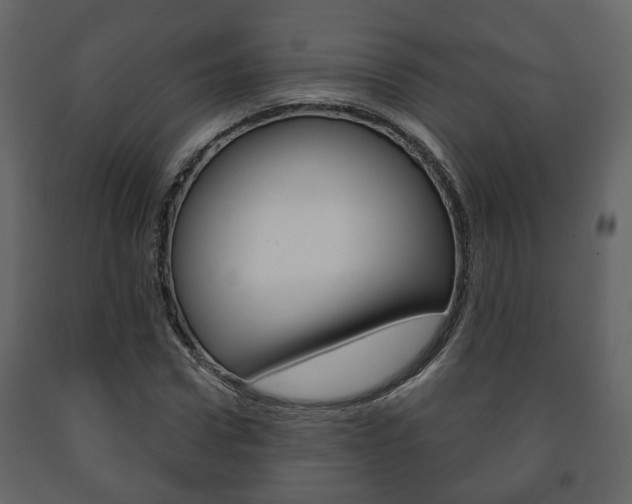 X0000091700922200708240930