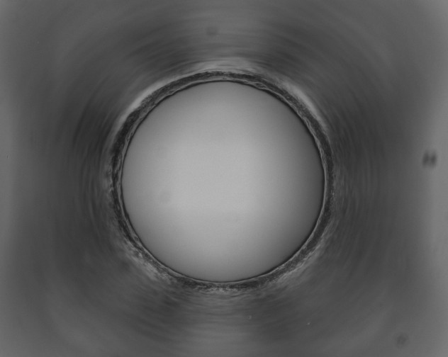 X0000091700923200708240930