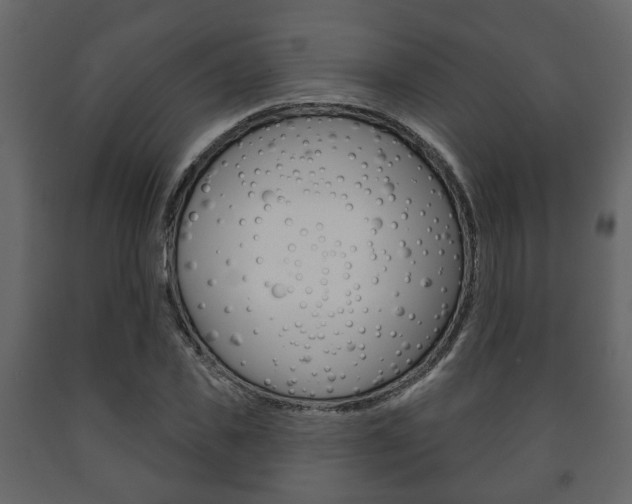 X0000091700925200708240930