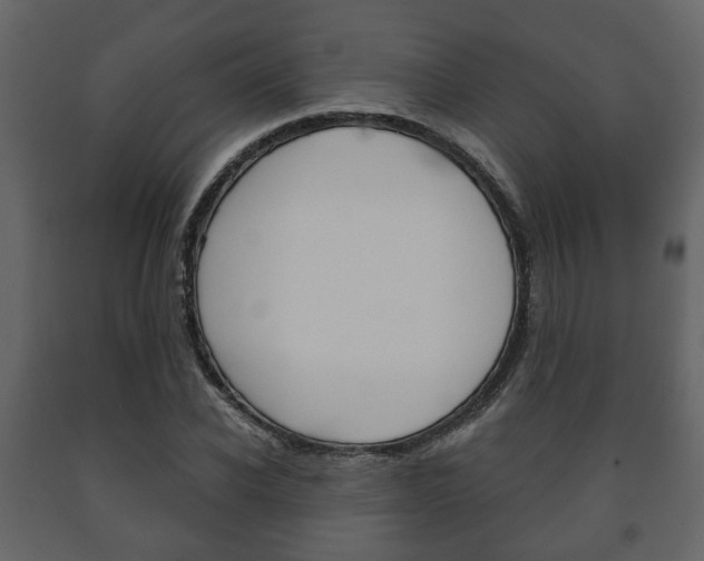 X0000091700926200708240930