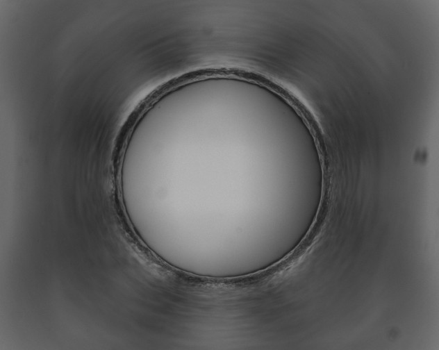 X0000091700927200708240930
