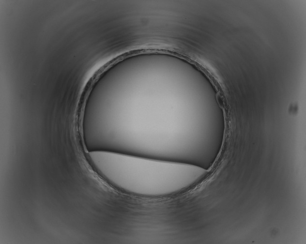 X0000091700928200708240930