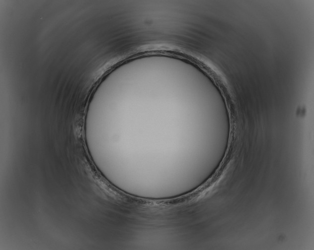 X0000091700929200708240930