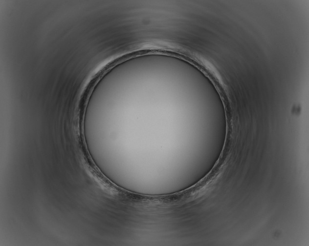 X0000091700931200708240930