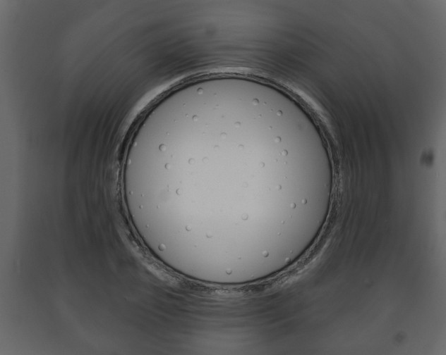 X0000091700933200708240930