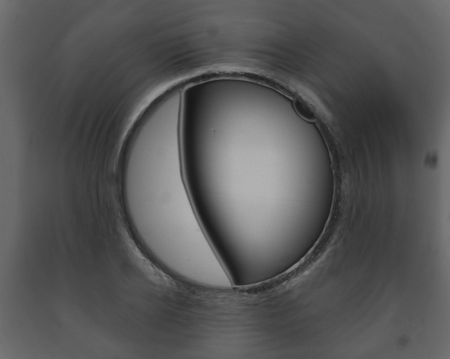 X0000091700934200708240930