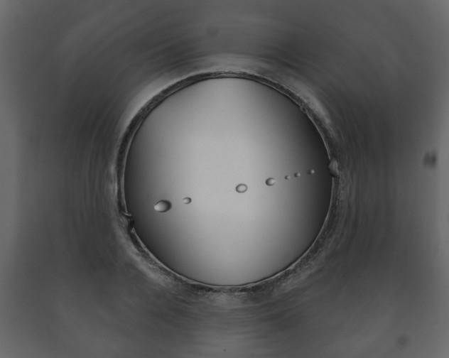 X0000091700936200708240930