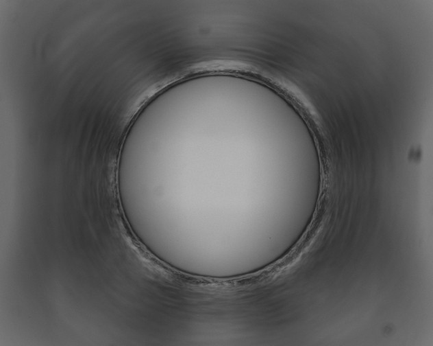 X0000091700937200708240930