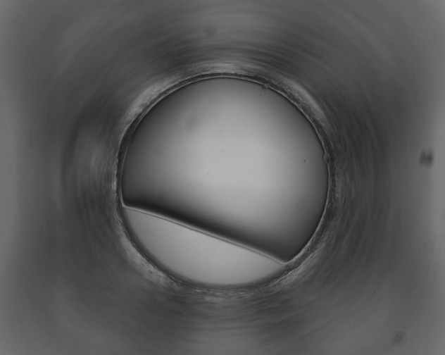 X0000091700938200708240930