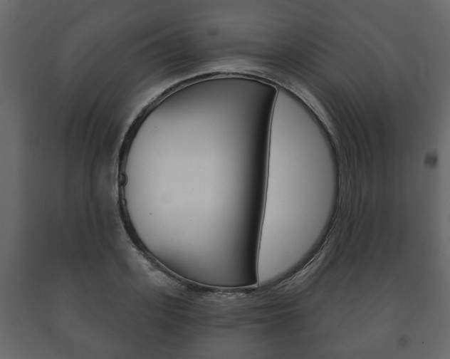 X0000091700939200708240930