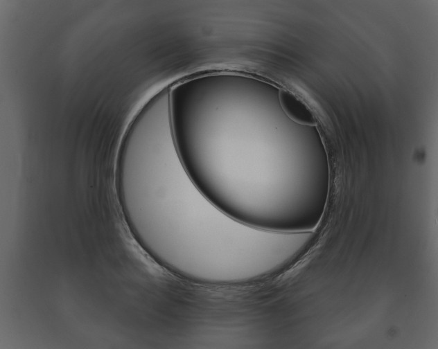 X0000091700940200708240930