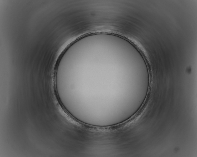 X0000091700941200708240930