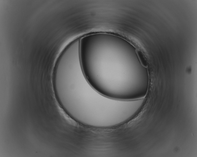 X0000091700942200708240930