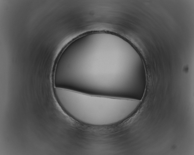 X0000091700943200708240930