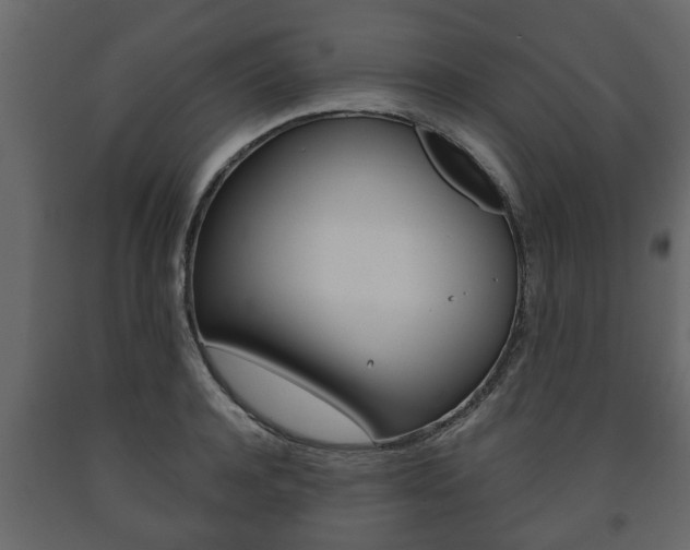 X0000091700944200708240930