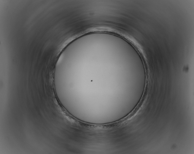 X0000091700945200708240930
